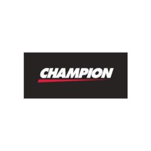 Champion SS Flex Conn w/ MNPT Ends 1″x 13.5″